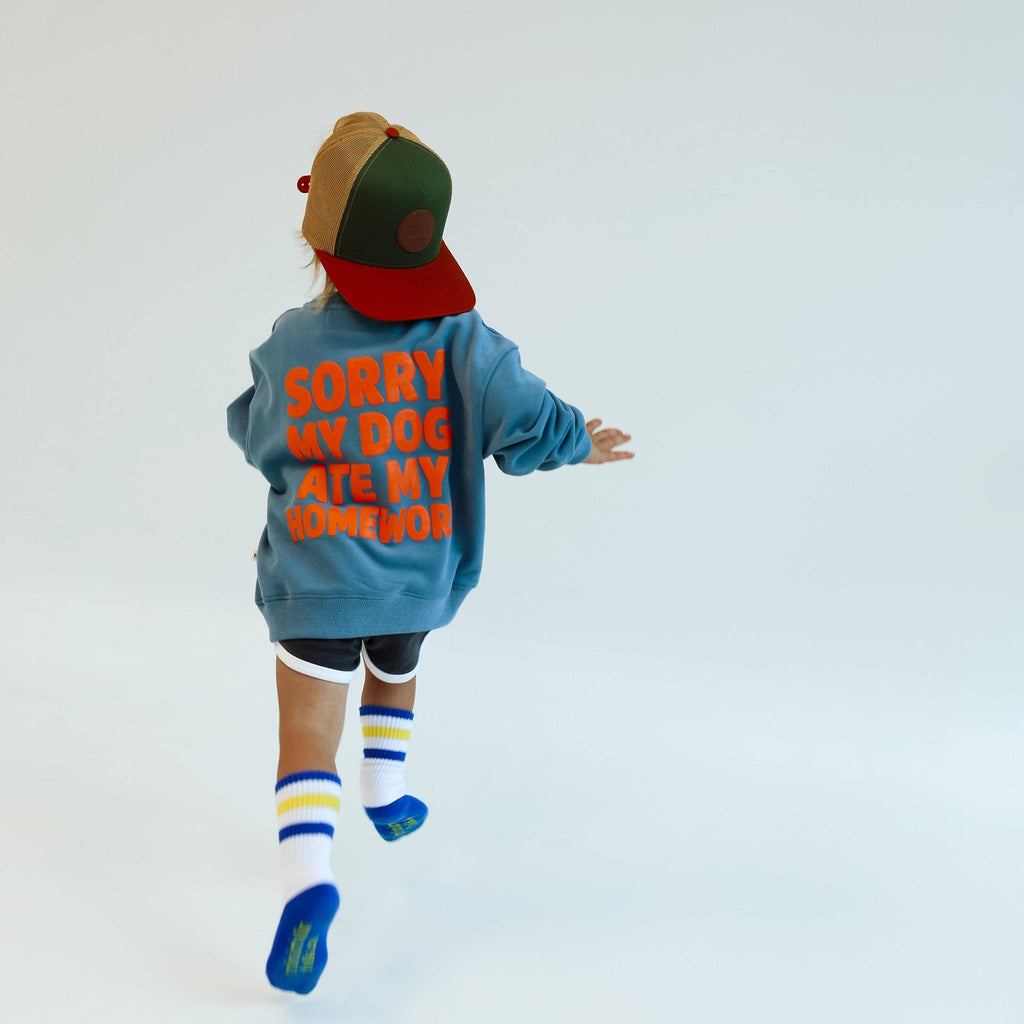 SORRY, MY DOG ATE MY HOMEWORK | DUSTY BLUE | oversized drop shoulder | KIDS: DUSTY BLUE / 6-8 PULLOVER
