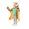 Lion Costume