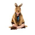 Hare Costume