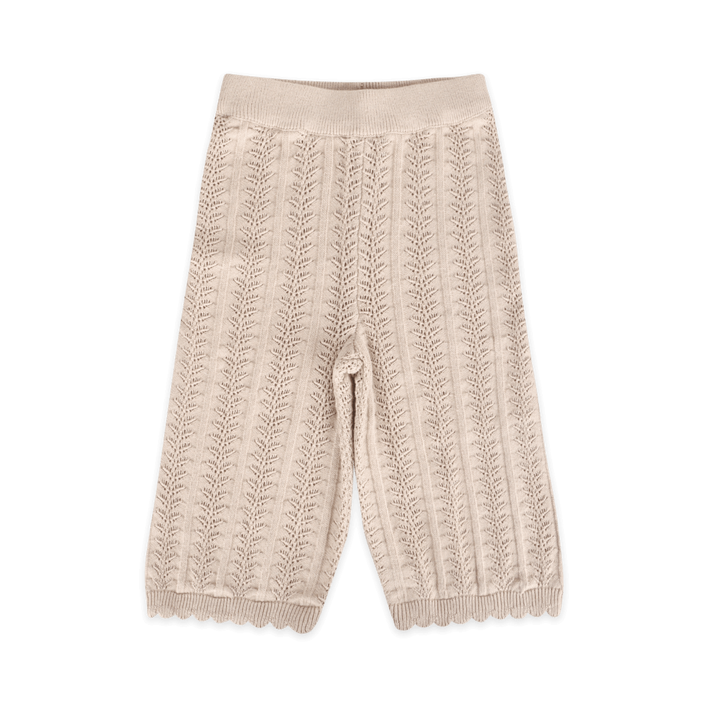 Daisy Bee Baby Knit Top & Pants Set (Organic Cotton): Cottonwood / 3-4T
