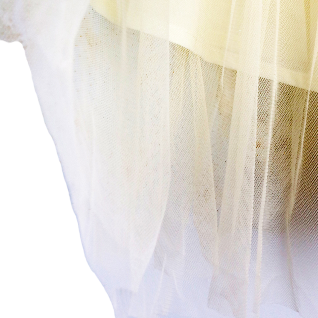 S15 15051-B 3D Floral Mesh Midi Tutu: BEIGE / 2-2-2;2T-3T-4T