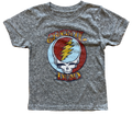 Grateful Dead Classic Stealie Tee - Tri Blend Grey: 3/6M