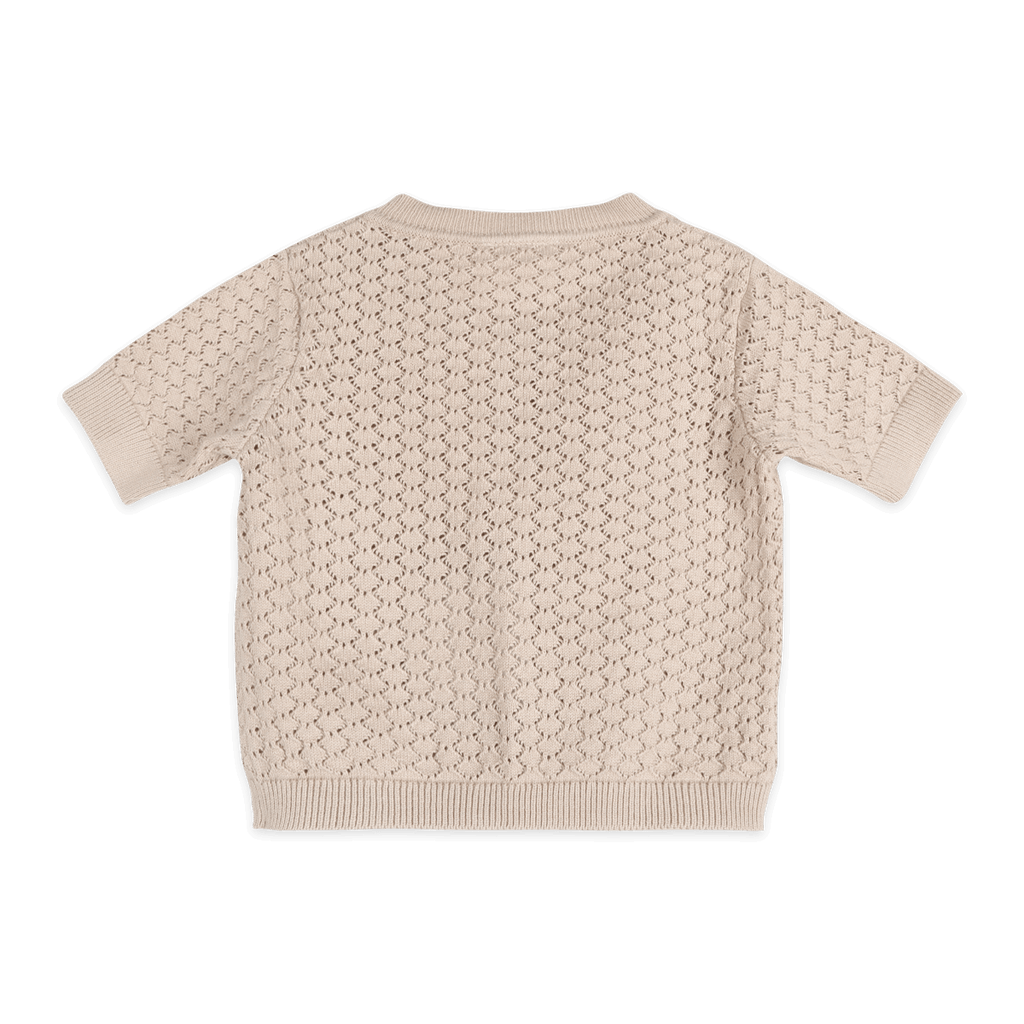 Daisy Bee Baby Knit Top & Pants Set (Organic Cotton): Cottonwood / 18-24M