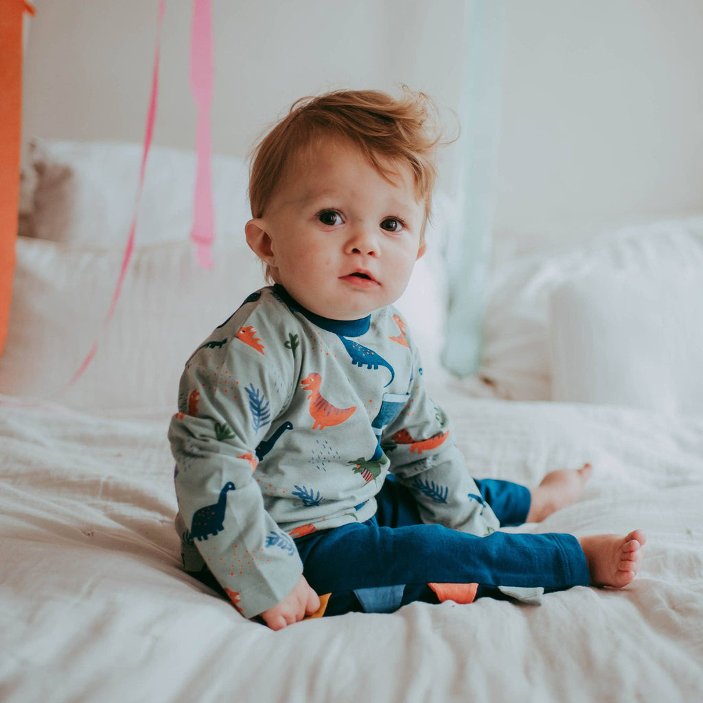 Multicoloured Dinosaur Print Top and Legging Set: 0-3 Months