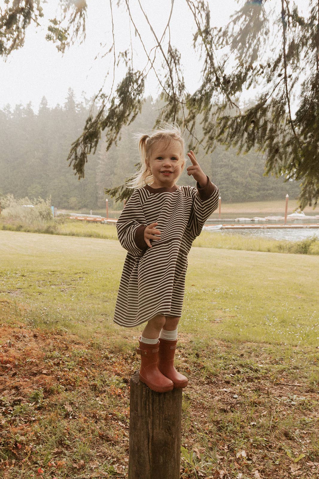 Kelsey Dress in Turtledove Chocolate Stripe: 3T