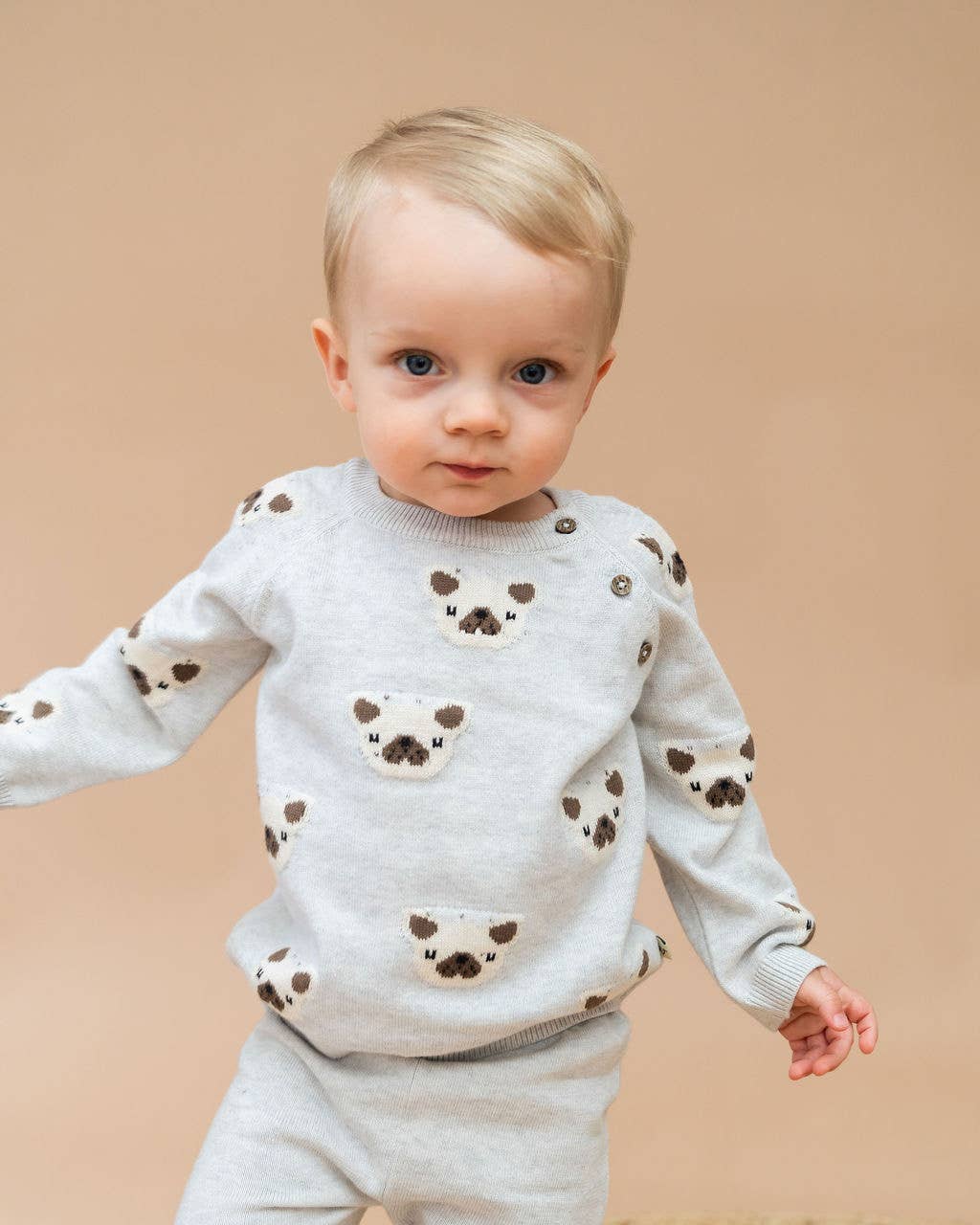 Frenchie Puppy Jacquard Knit Baby Pullover + Pants  Organic: Pearl Grey Heather / 18-24M