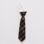 Woven Striped Button Down With Tie: 2T